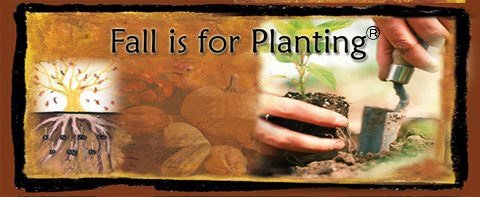 The original Fall is for Planting banner with a tree, its roots, pumpkins and a hand planting a seedling